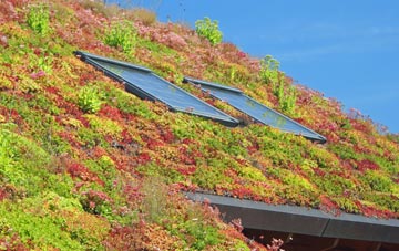 Pedlars Rest living roof systems