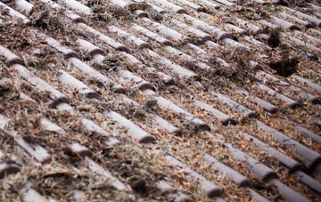 Pedlars Rest roof cleaning companies