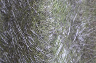 Pedlars Rest fibreglass roof work